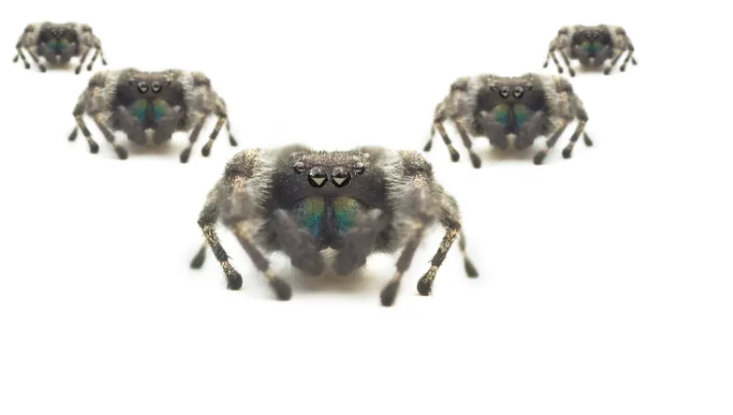 Scattered Spider Hops Nimbly From Cloud to On-Prem in Complex Attack