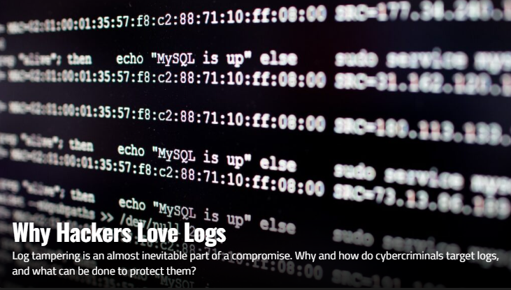Why Hackers Love Logs